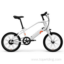 Customized 20 Inch Electric Bike